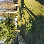 Holiday park Ranchoto 2*