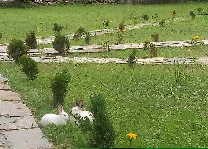 Holiday park Ranchoto Kirkovo (Kardzhali)