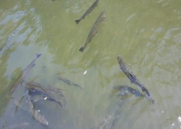 Holiday park Ranchoto 2*