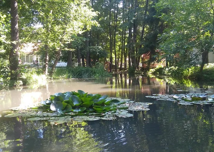 Ranchoto Kirkovo (Kardzhali)