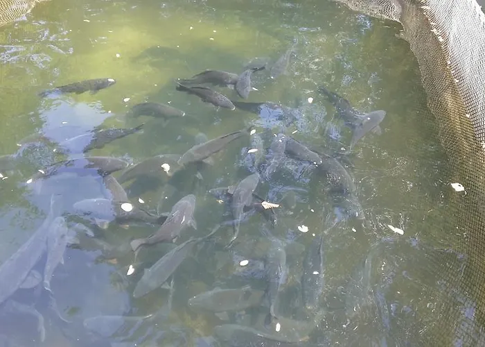 Holiday park Ranchoto 2*